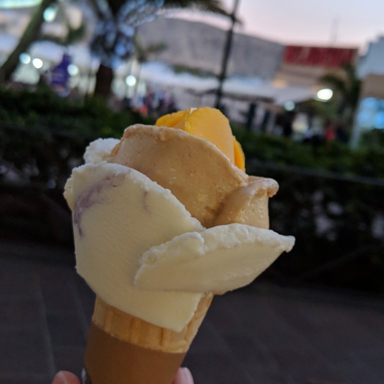 00100dportrait_00100_burst20181227182706415_cover