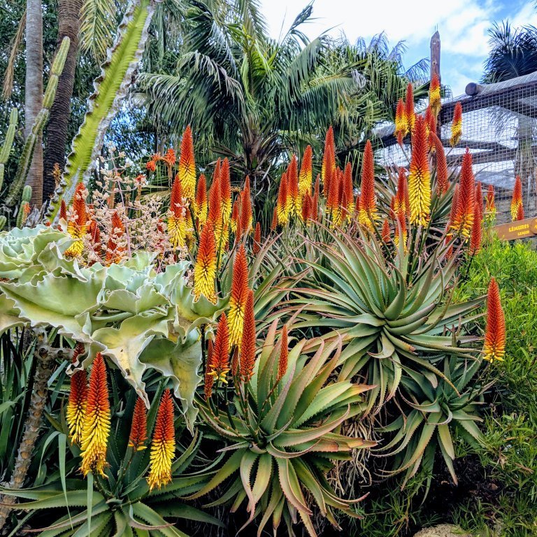 img_20181230_132033-effects